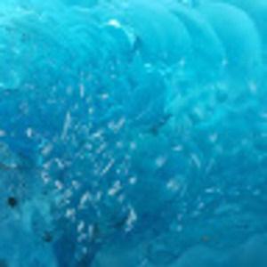 Meet your Posher, Will